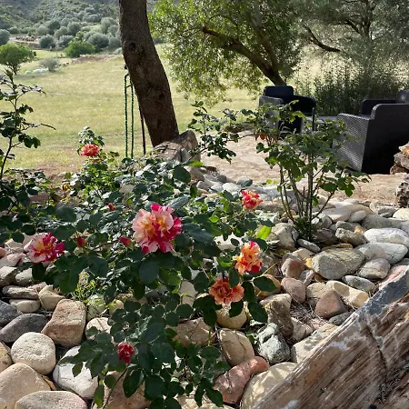 Casa de Férias Bergerie La Nepita *