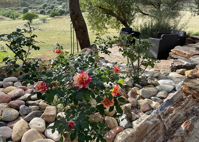 Dom wakacyjny Bergerie La Nepita *